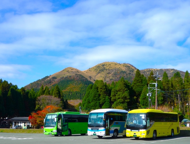 さいたま市 交通事故治療